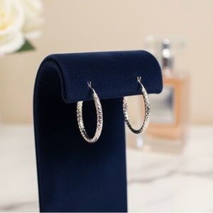 Elegant Silver Hoop Earrings